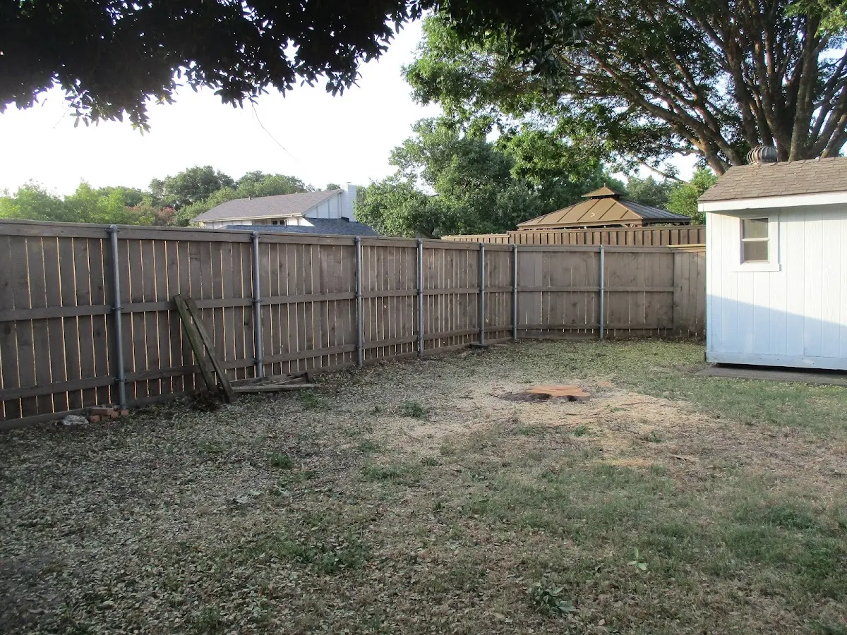 Cleared yard after professional tree removal in Avalon